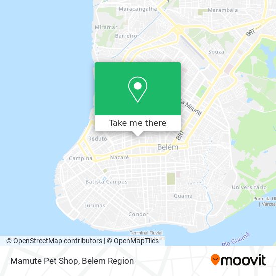 Mapa Mamute Pet Shop