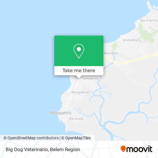 Mapa Big Dog Veterinário