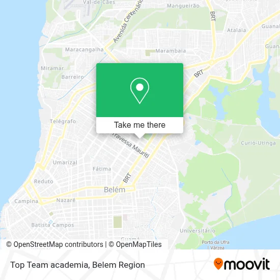 Top Team academia map