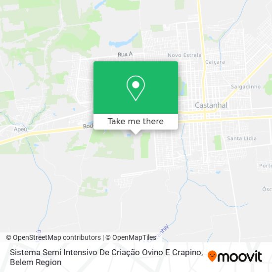 Sistema Semi Intensivo De Criação Ovino E Crapino map