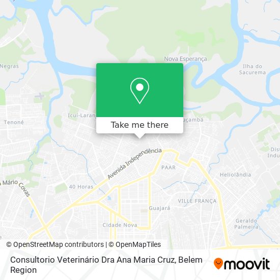 Consultorio Veterinário Dra Ana Maria Cruz map