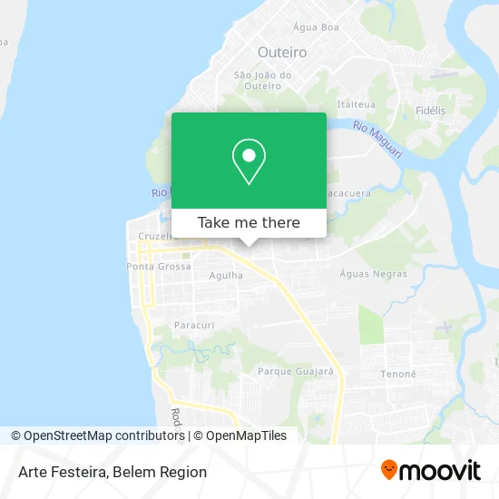 Arte Festeira map