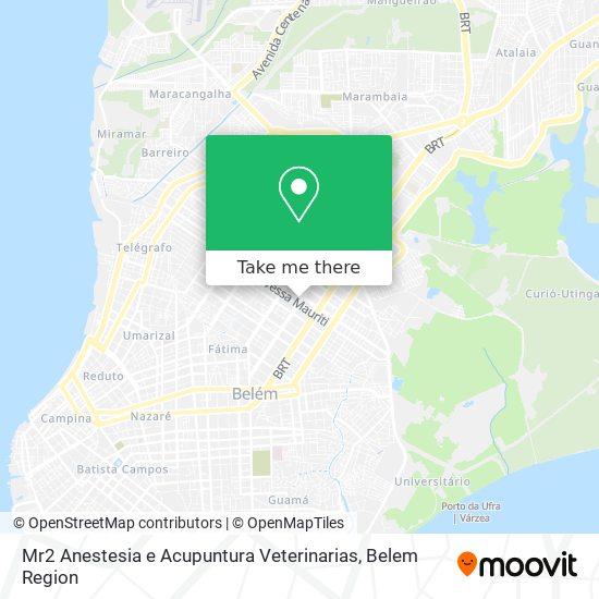 Mr2 Anestesia e Acupuntura Veterinarias map