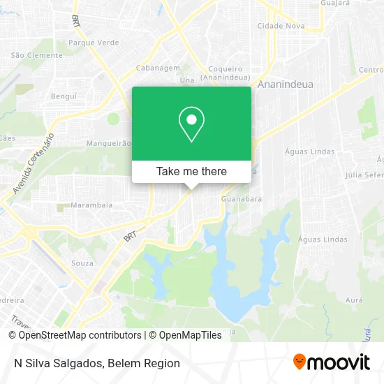 N Silva Salgados map