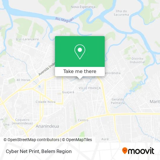 Cyber Net Print map