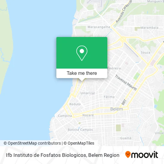 Ifb Instituto de Fosfatos Biologicos map