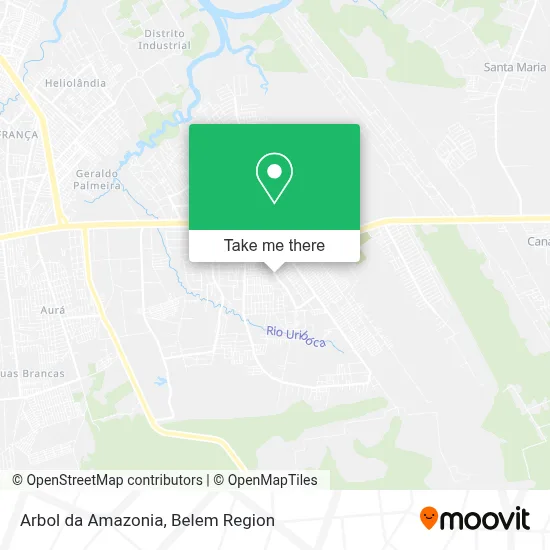 Arbol da Amazonia map