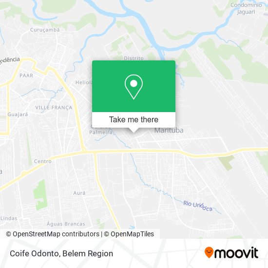 Coife Odonto map