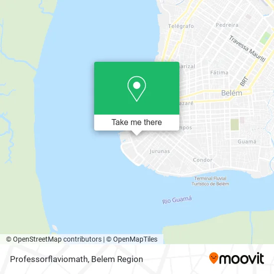 Professorflaviomath map