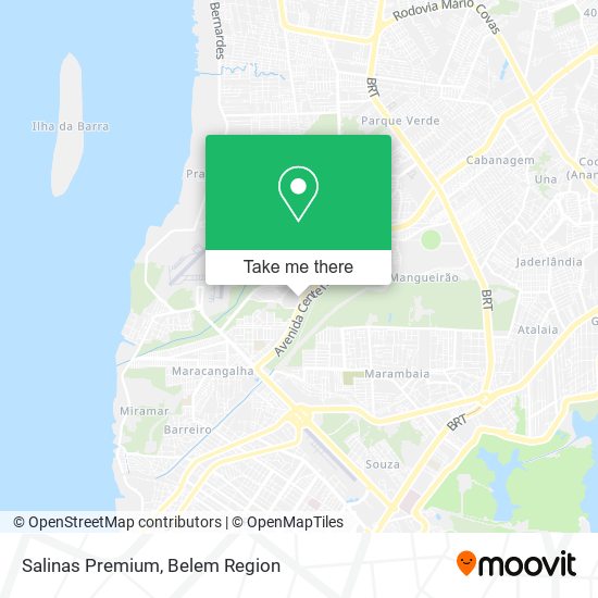Salinas Premium map