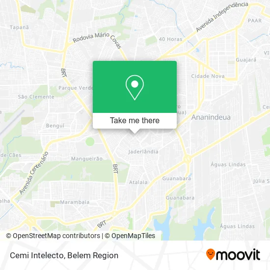 Cemi Intelecto map