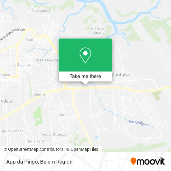 App da Pingo map