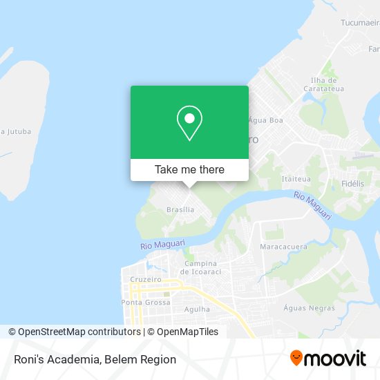 Roni's Academia map