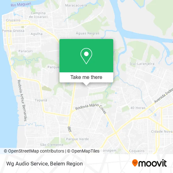 Wg Audio Service map