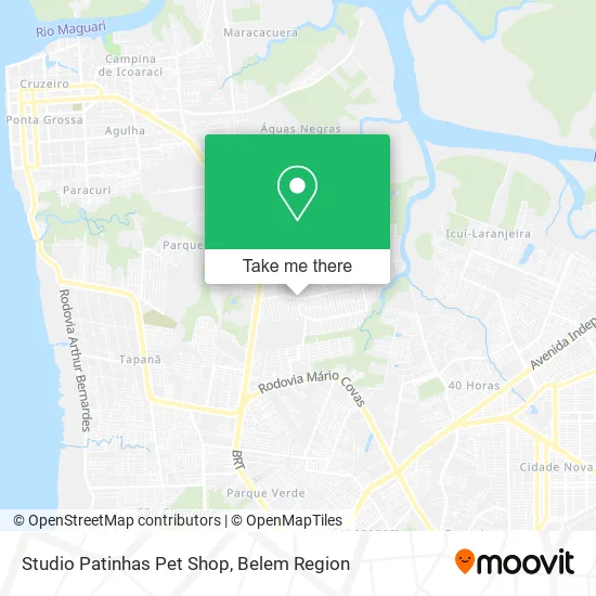 Studio Patinhas Pet Shop map