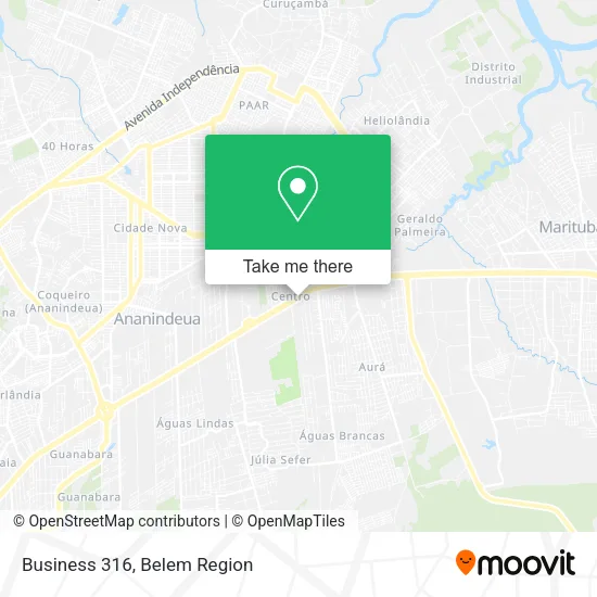 Business 316 map
