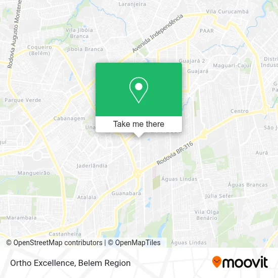 Ortho Excellence map