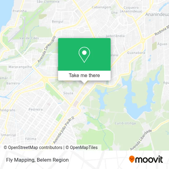 Fly Mapping map