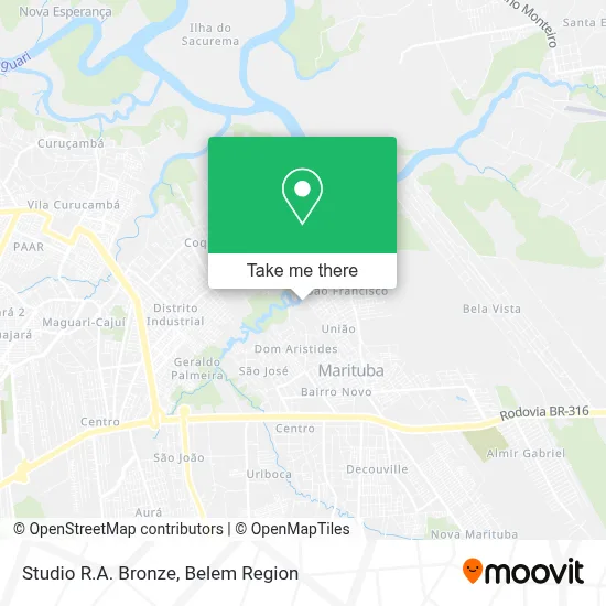 Studio R.A. Bronze map