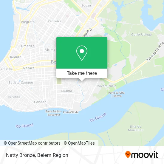 Natty Bronze map