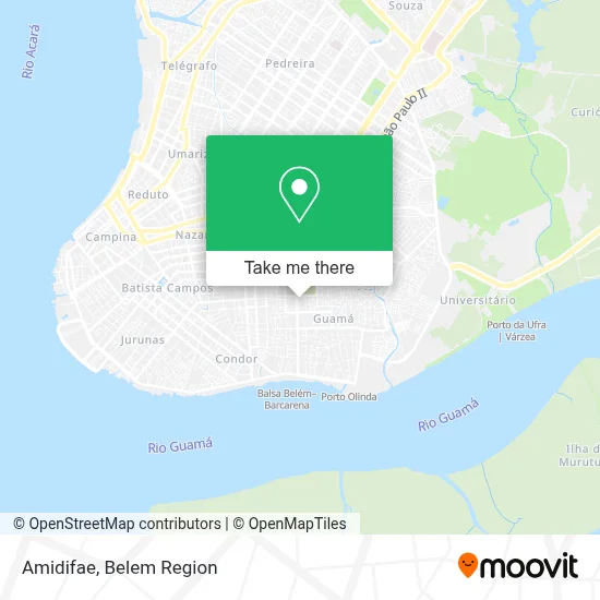 Amidifae map
