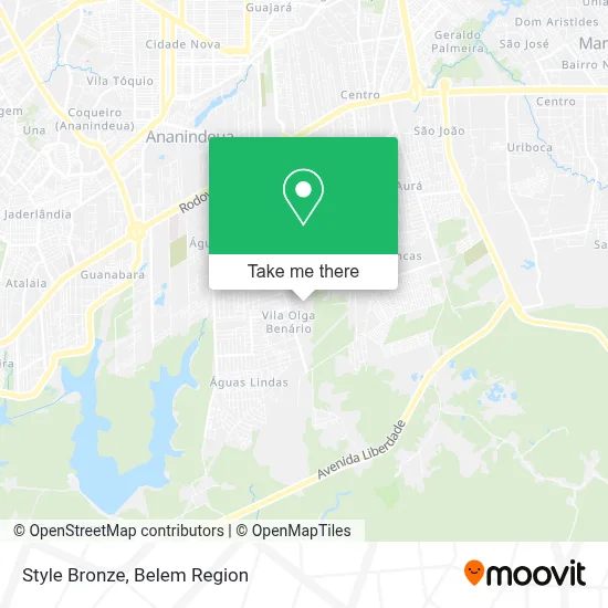 Style Bronze map