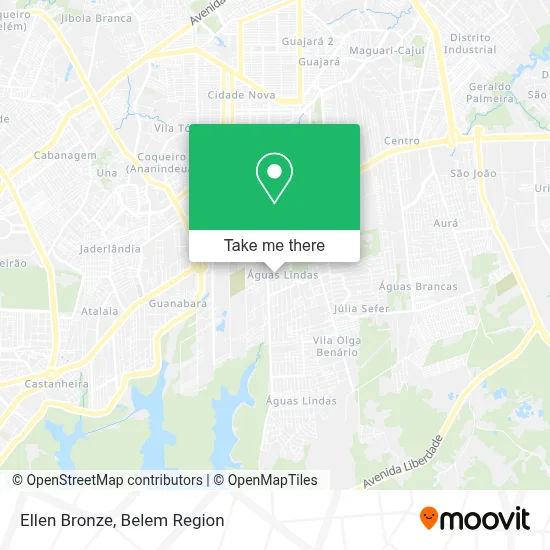 Ellen Bronze map