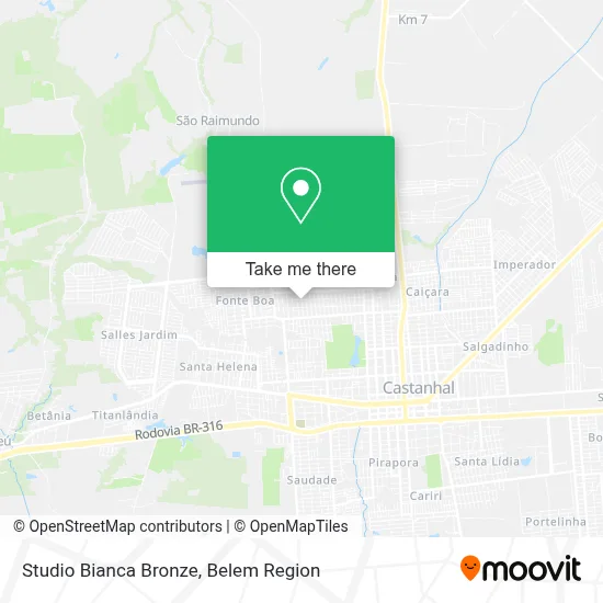 Studio Bianca Bronze map