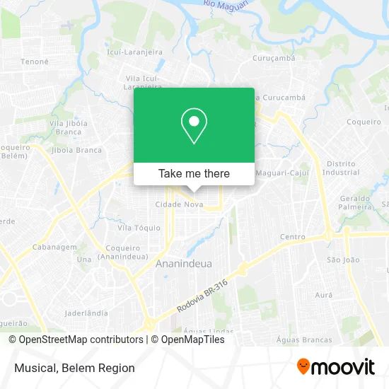 Musical map