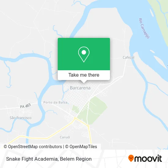 Snake Fight Academia map