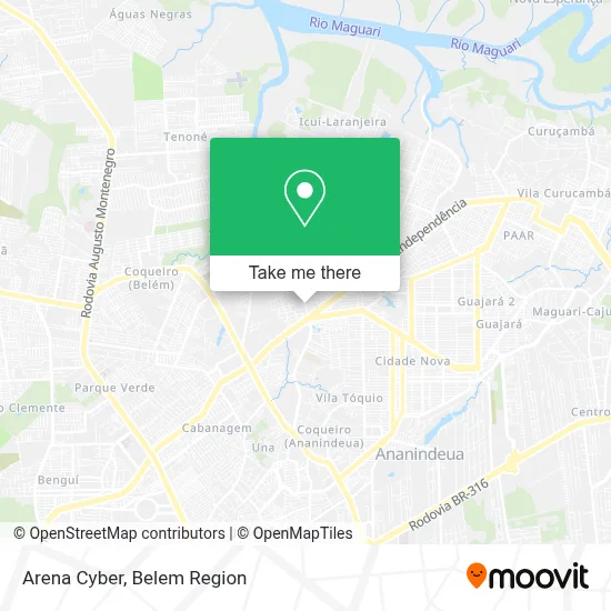 Arena Cyber map