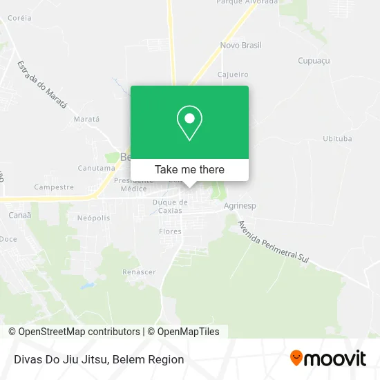Divas Do Jiu Jitsu map