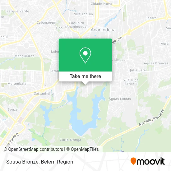 Sousa Bronze map