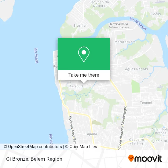 Gi Bronze map