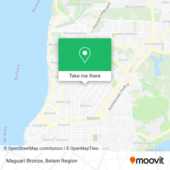 Maguari Bronze map