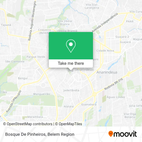 Bosque De Pinheiros map