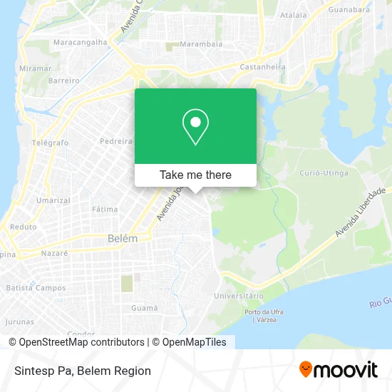 Sintesp Pa map