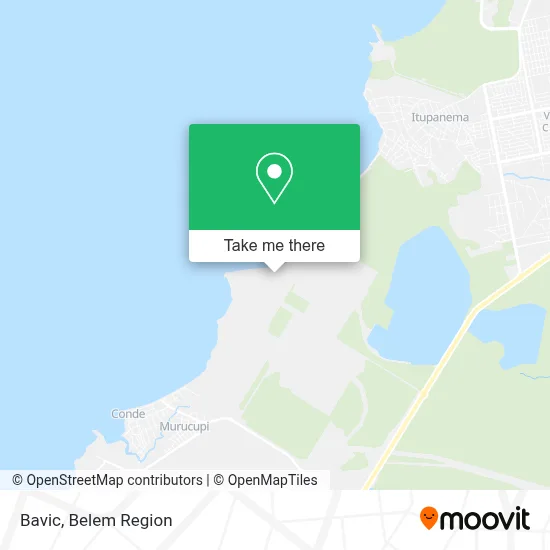 Bavic map