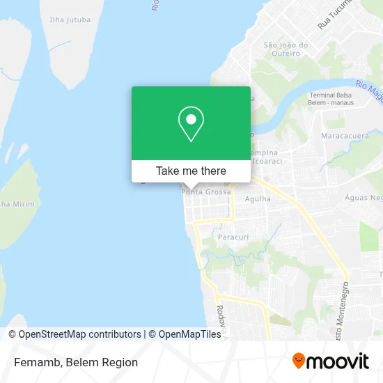 Femamb map
