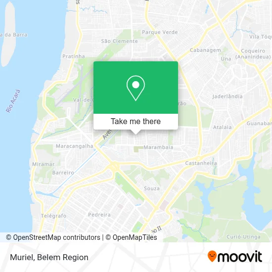 Muriel map