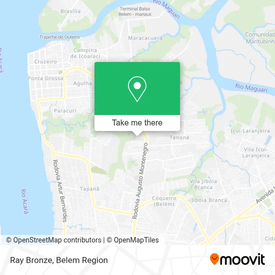 Ray Bronze map