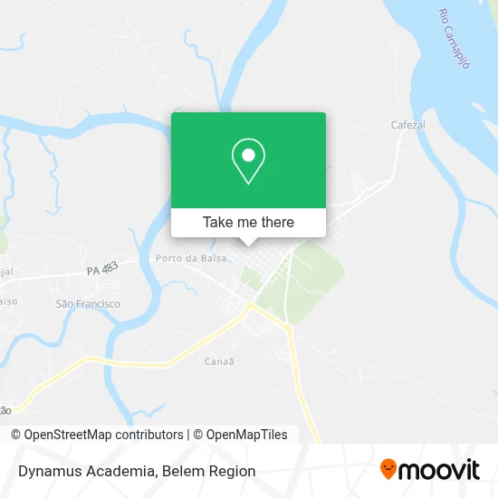 Dynamus Academia map