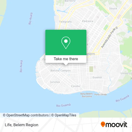 Life map