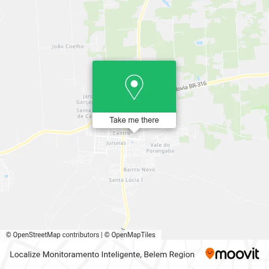 Localize Monitoramento Inteligente map