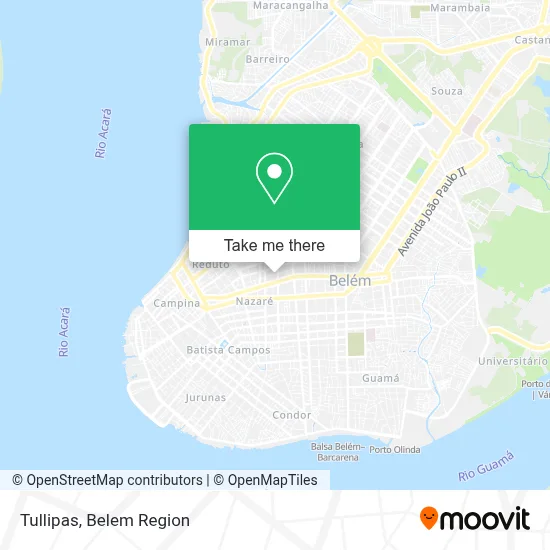 Tullipas map