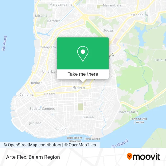 Arte Flex map