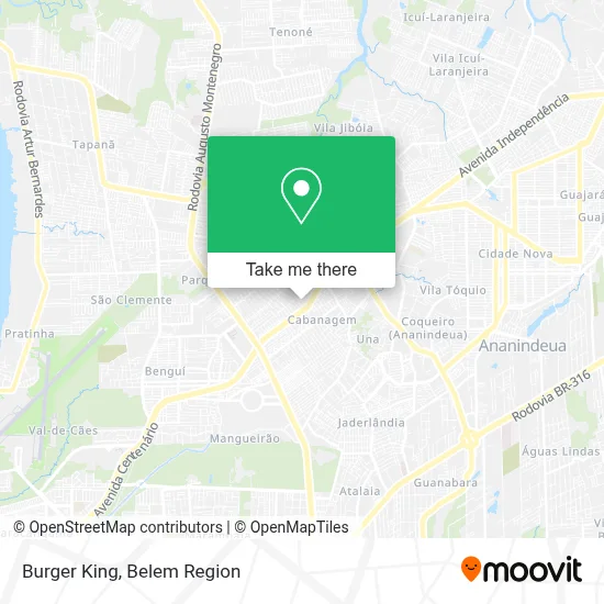 Burger King map