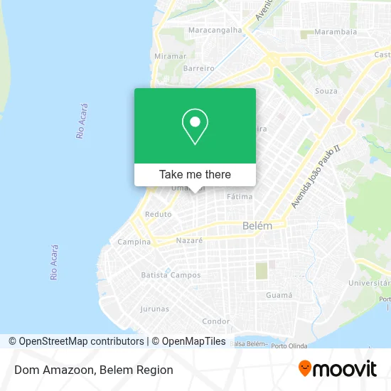 Dom Amazoon map