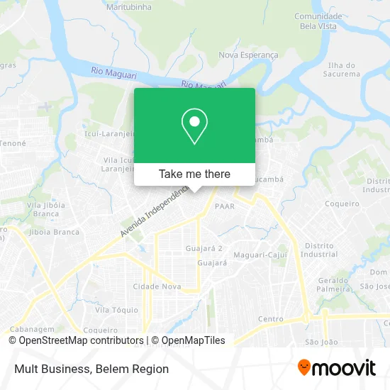 Mult Business map