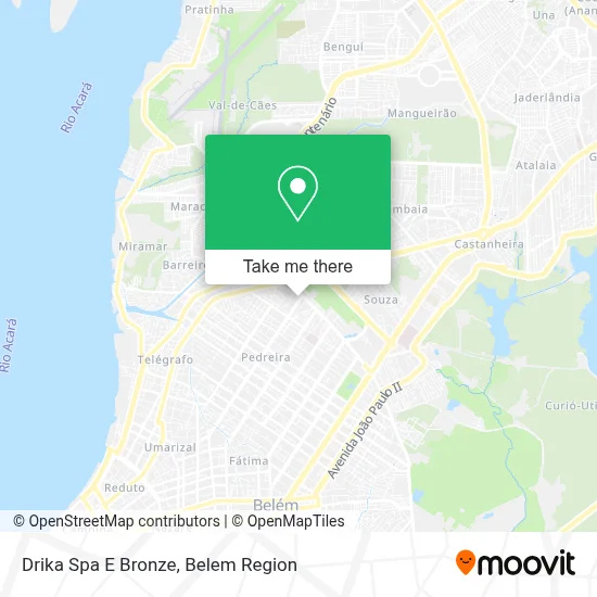 Drika Spa E Bronze map